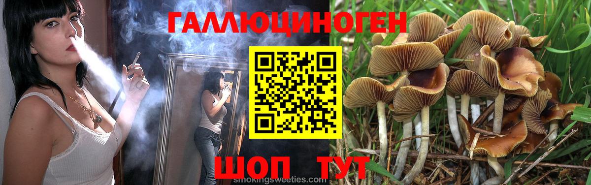 Галлюциногенные грибы MAGIC MUSHROOMS  Вход с VPN  Керчь 